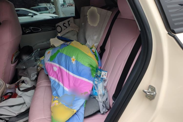 Used Geely Galaxy Geome 2025 310km Dream Edition Left Rear Seat