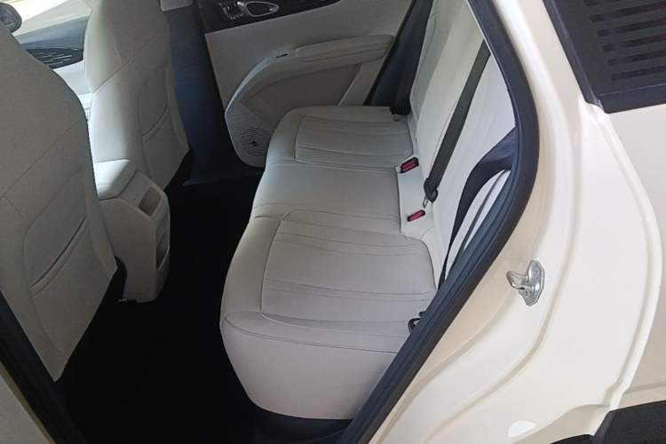 Used Geely Galaxy Geome 2025 310km Youth Edition Left Rear Seat