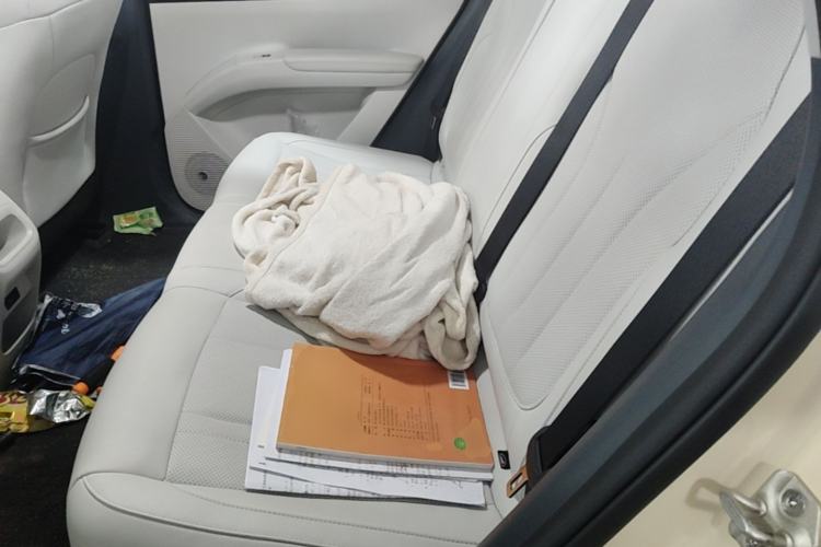 Used Geely Galaxy Geome 2025 310km Dream Edition Left Rear Seat