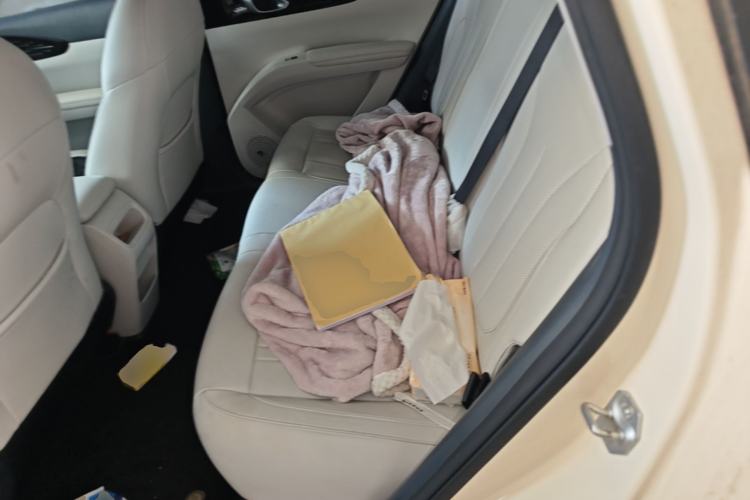 Used Geely Galaxy Geome 2025 310km Youth Edition Left Rear Seat