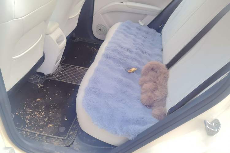 Used Geely Galaxy Geome 2025 310km Youth Edition Left Rear Seat