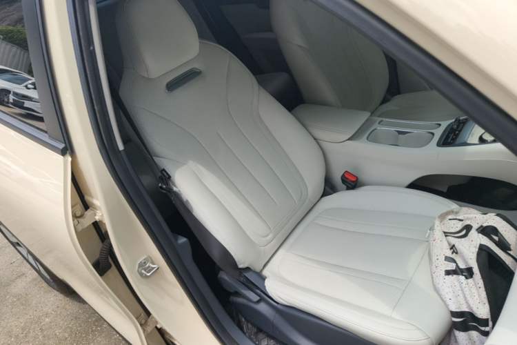 Used Geely Galaxy Geome 2025 310km Youth Edition Right Front Seat