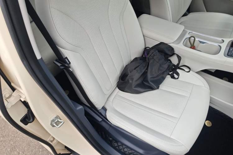 Used Geely Galaxy Geome 2025 310km Dream Edition Right Front Seat