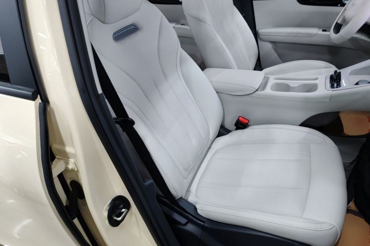 Used Geely Galaxy Geome 2025 UP 410km Exploration Edition Right Front Seat