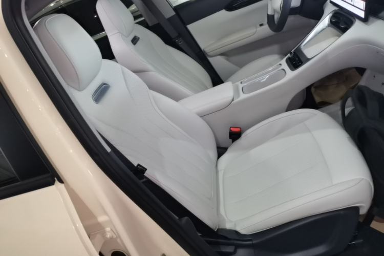 Used Geely Galaxy Geome 2025 310km Dream Edition Right Front Seat
