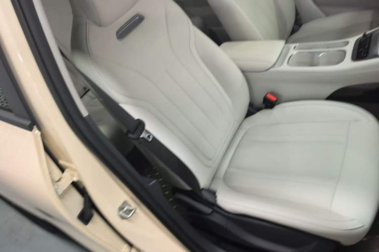 Used Geely Galaxy Geome 2025 310km Dream Edition Right Front Seat