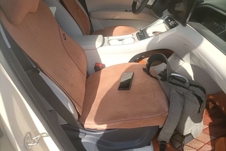 Used Geely Galaxy Geome 2025 310km Dream Edition Right Front Seat