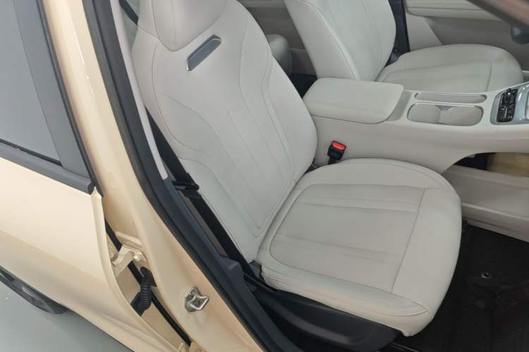 Used Geely Galaxy Geome 2025 310km Dream Edition Right Front Seat