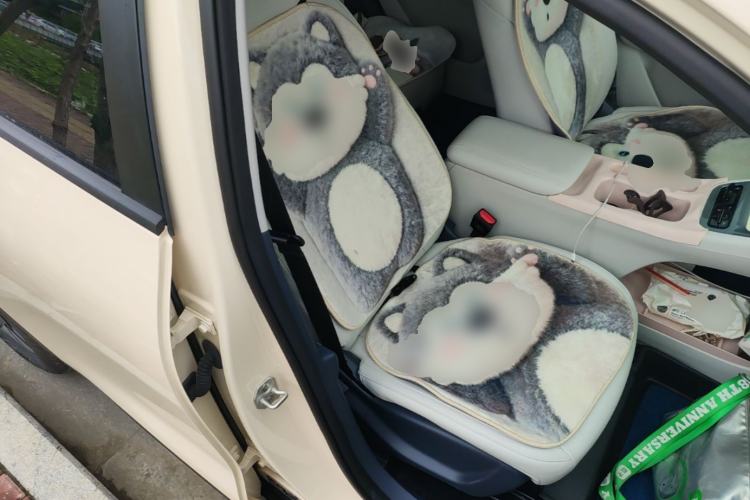 Used Geely Galaxy Geome 2025 310km Dream Edition Right Front Seat
