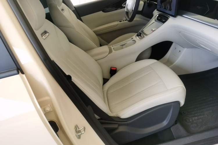 Used Geely Galaxy Geome 2025 310km Dream Edition Right Front Seat