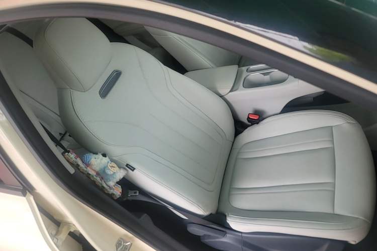 Used Geely Galaxy Geome 2025 310km Dream Edition Right Front Seat