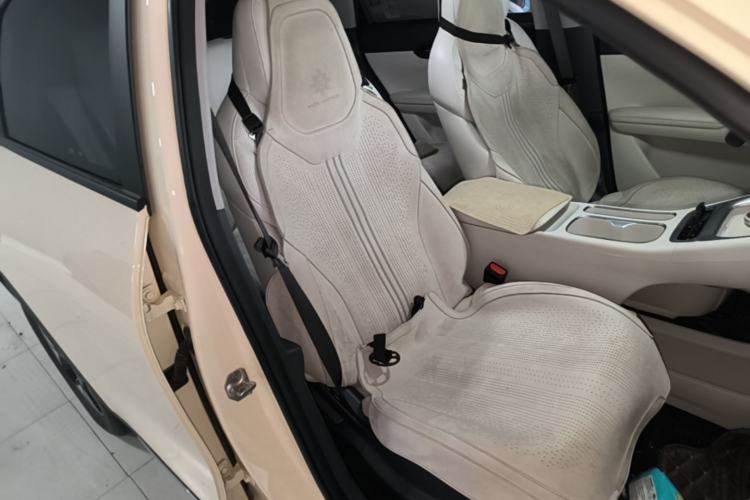 Used Geely Galaxy Geome 2025 310km Dream Edition Right Front Seat