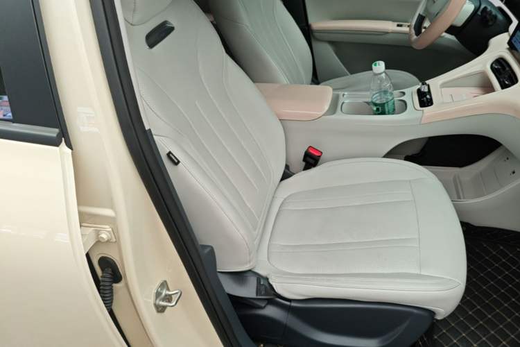 Used Geely Galaxy Geome 2025 310km Youth Edition Right Front Seat