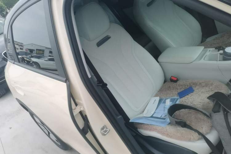 Used Geely Galaxy Geome 2025 310km Youth Edition Right Front Seat