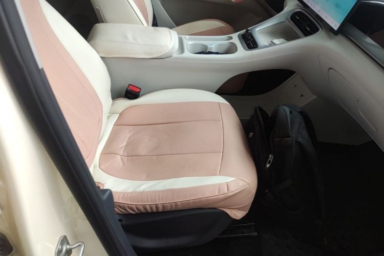 Used Geely Galaxy Geome 2025 UP 410km Exploration Edition Right Front Seat