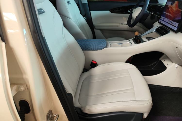 Used Geely Galaxy Geome 2025 310km Dream Edition Right Front Seat