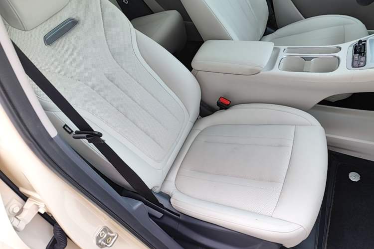Used Geely Galaxy Geome 2025 310km Dream Edition Right Front Seat