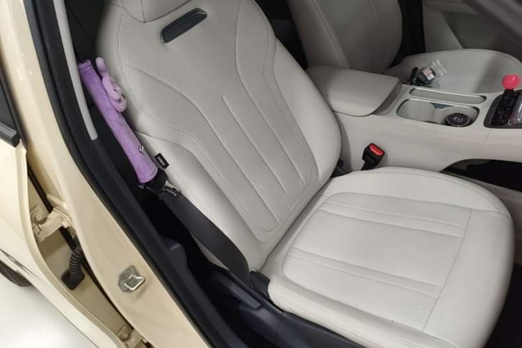 Used Geely Galaxy Geome 2025 310km Dream Edition Right Front Seat