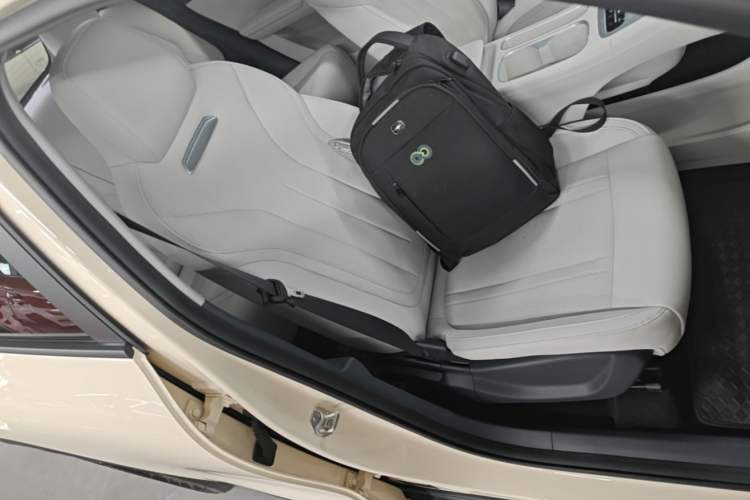 Used Geely Galaxy Geome 2025 UP 410km Exploration Edition Right Front Seat