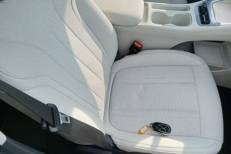 Used Geely Galaxy Geome 2025 310km Youth Edition Right Front Seat