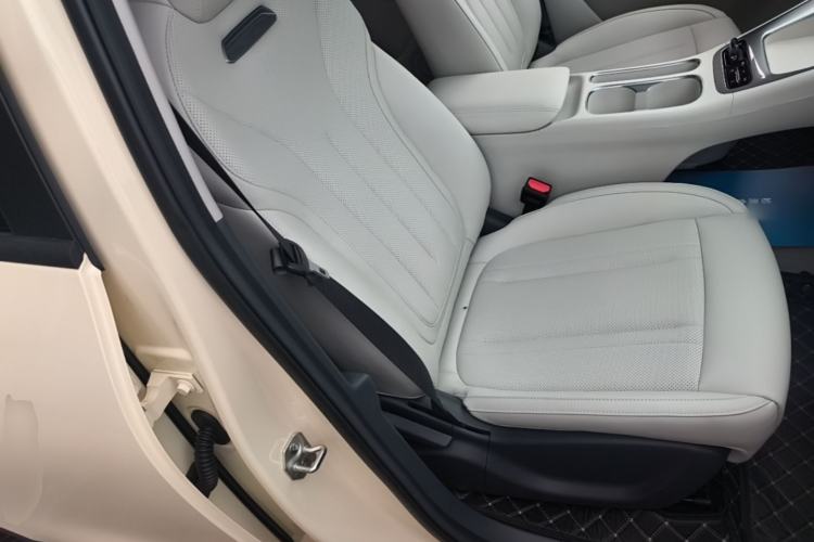 Used Geely Galaxy Geome 2025 310km Dream Edition Right Front Seat