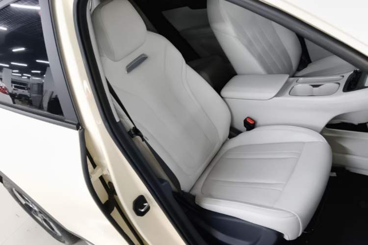 Used Geely Galaxy Geome 2025 310km Dream Edition Right Front Seat