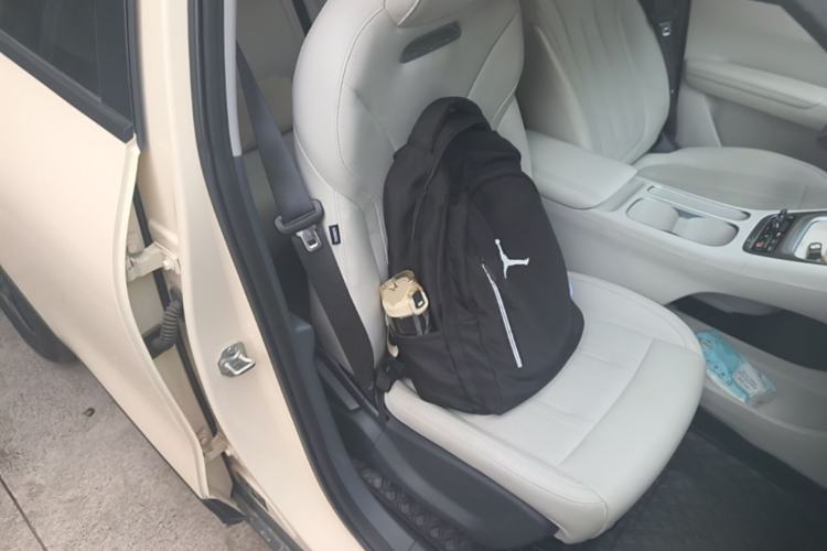 Used Geely Galaxy Geome 2025 UP 410km Exploration Edition Right Front Seat
