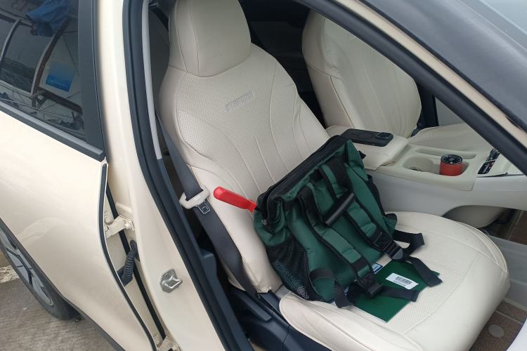 Used Geely Galaxy Geome 2025 310km Youth Edition Right Front Seat