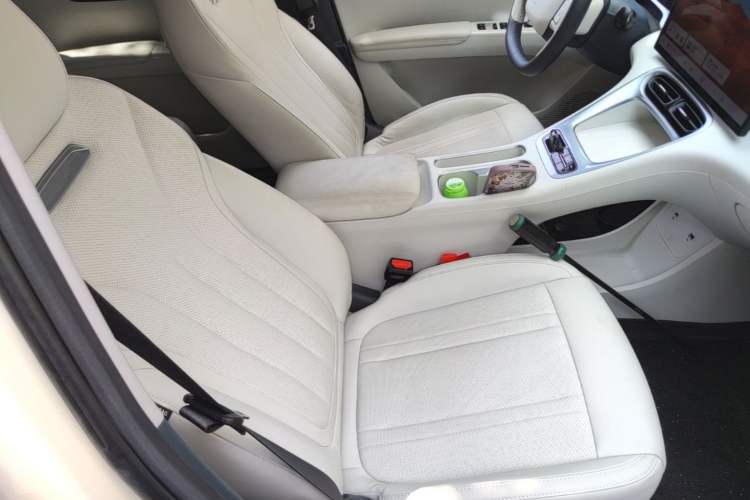Used Geely Galaxy Geome 2025 310km Dream Edition Right Front Seat