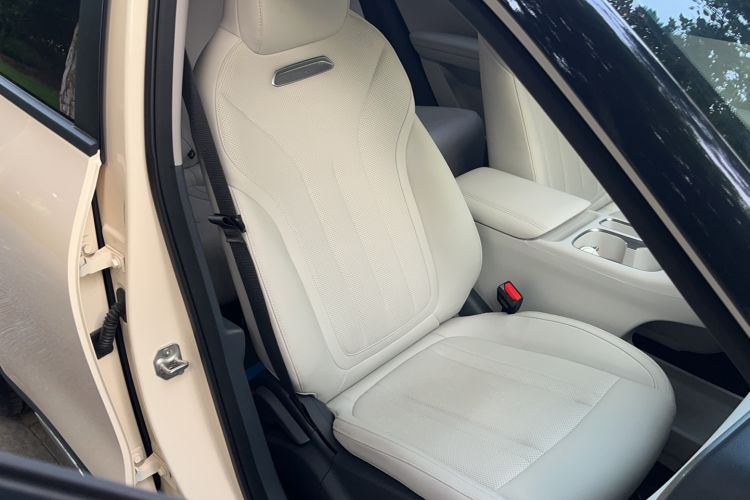 Used Geely Galaxy Geome 2025 310km Dream Edition Right Front Seat