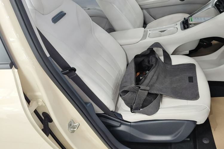 Used Geely Galaxy Geome 2025 310km Youth Edition Right Front Seat