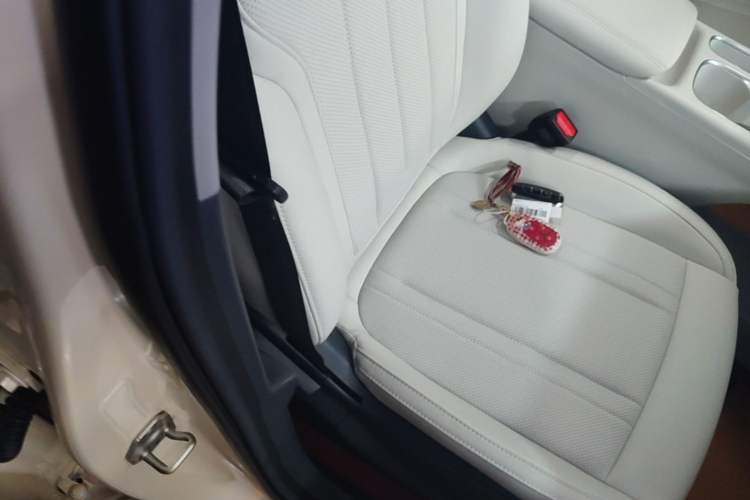 Used Geely Galaxy Geome 2025 310km Dream Edition Right Front Seat