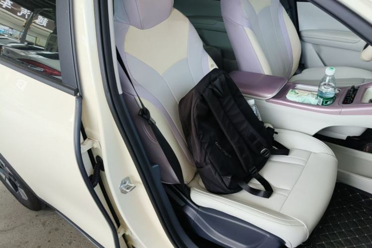 Used Geely Galaxy Geome 2025 310km Dream Edition Right Front Seat