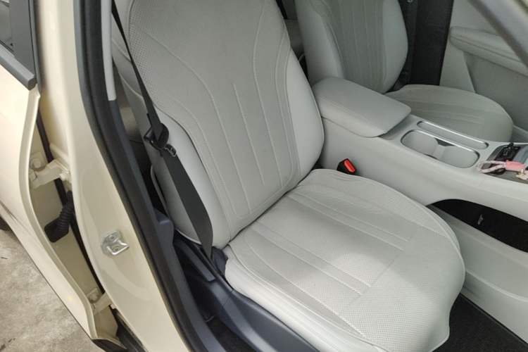 Used Geely Galaxy Geome 2025 310km Dream Edition Right Front Seat