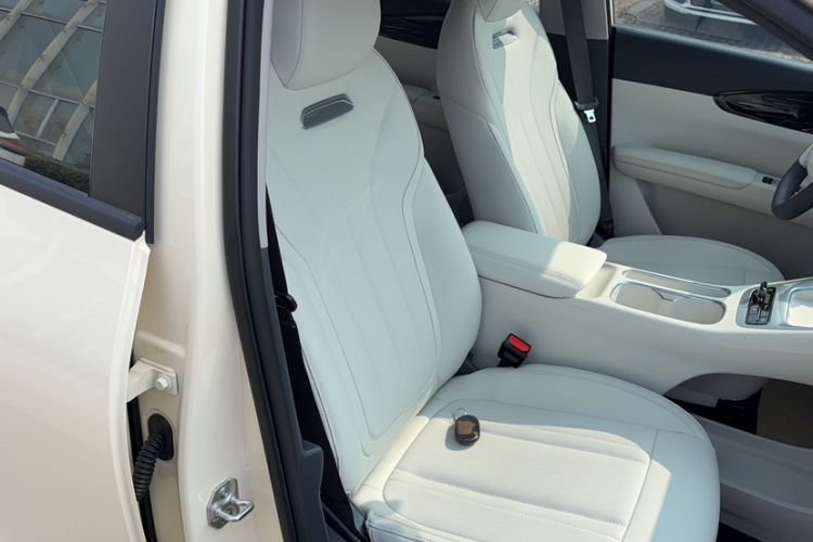 Used Geely Galaxy Geome 2025 310km Dream Edition Right Front Seat
