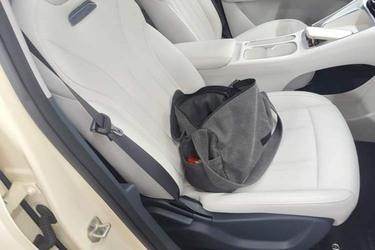 Used Geely Galaxy Geome 2025 310km Dream Edition Right Front Seat