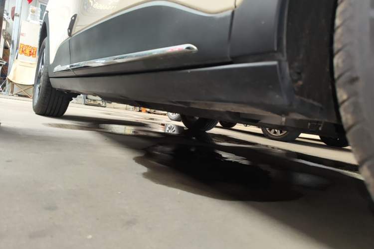 Used Geely Galaxy Geome 2025 310km Dream Edition Right Side Sill
