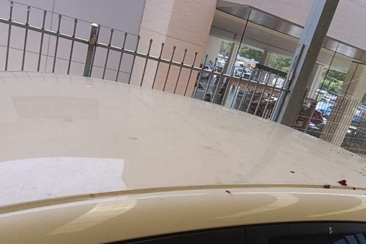 Used Geely Galaxy Geome 2025 310km Youth Edition Roof