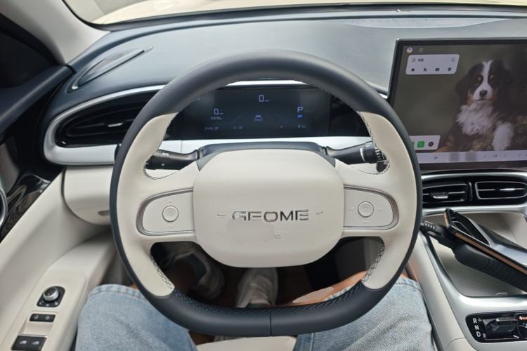 Used Geely Galaxy Geome 2025 310km Dream Edition Steering Wheel