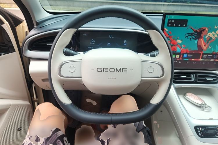 Used Geely Galaxy Geome 2025 310km Dream Edition Steering Wheel