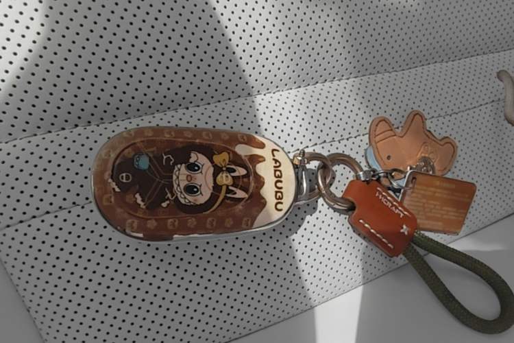 Used Geely Galaxy Geome 2025 310km Dream Edition Vehicle Key