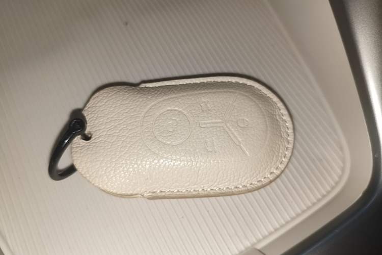 Used Geely Galaxy Geome 2025 310km Dream Edition Vehicle Key