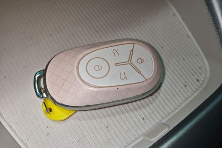 Used Geely Galaxy Geome 2025 310km Dream Edition Vehicle Key