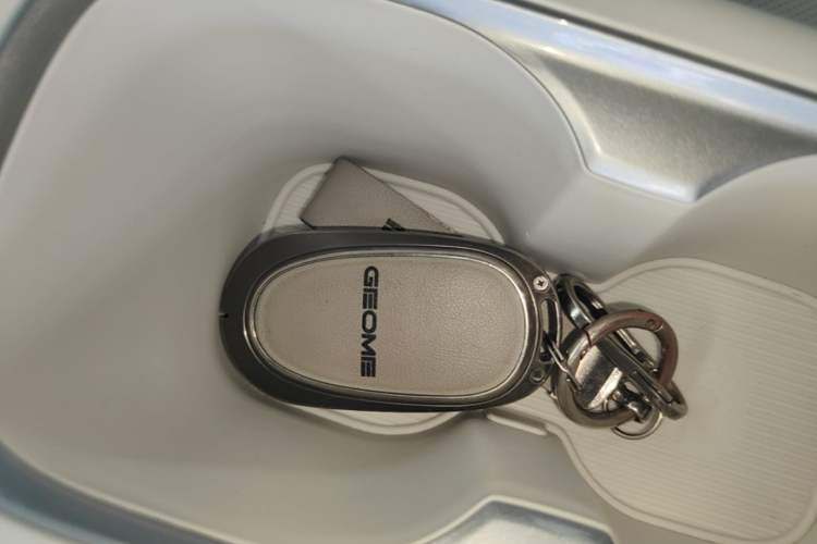 Used Geely Galaxy Geome 2025 310km Youth Edition Vehicle Key