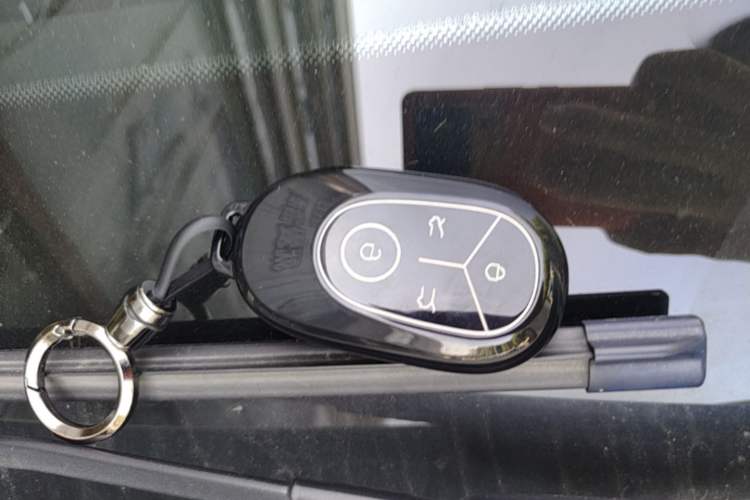 Used Geely Galaxy Geome 2025 310km Dream Edition Vehicle Key