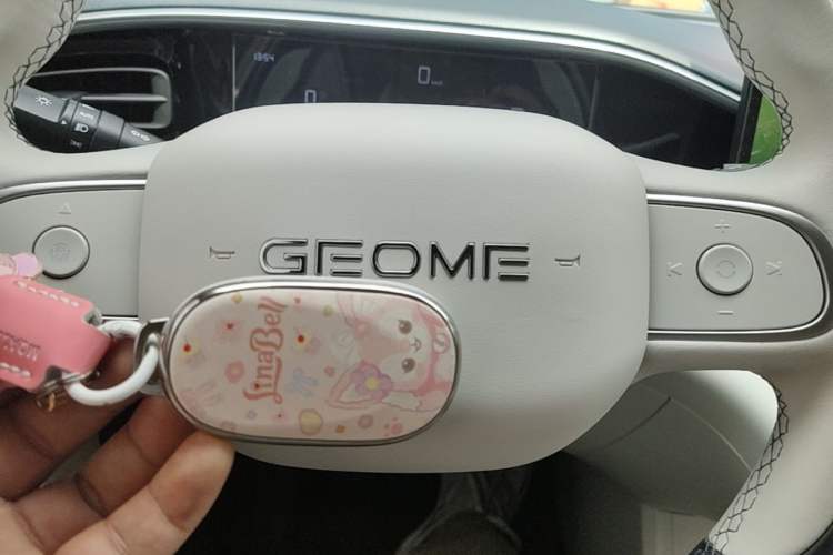 Used Geely Galaxy Geome 2025 310km Dream Edition Vehicle Key