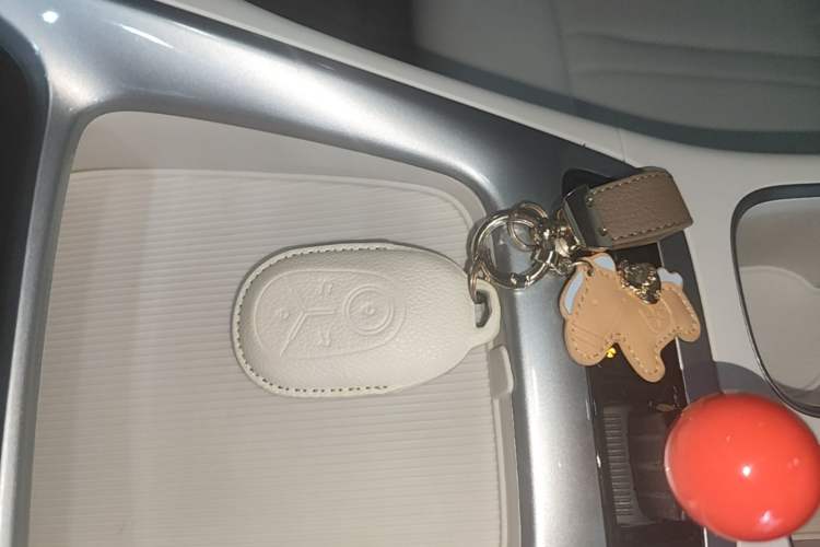 Used Geely Galaxy Geome 2025 310km Dream Edition Vehicle Key