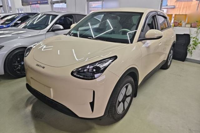 Used Geely Galaxy Geome 2025 310km Youth Edition