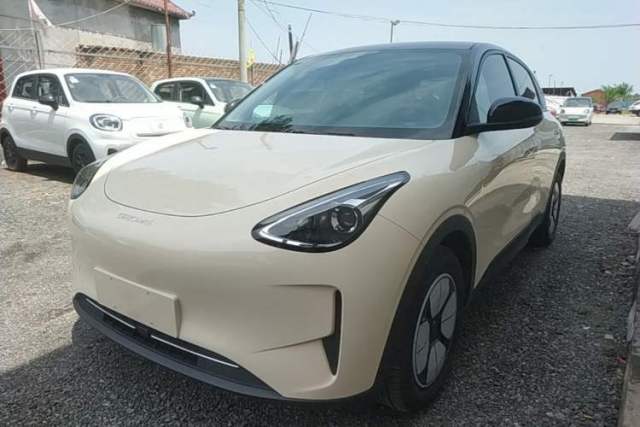 Used Geely Galaxy Geome 2025 310km Youth Edition