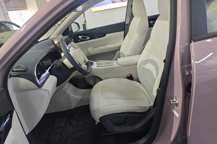 Used Geely Galaxy Geome 2026 Model 310km Dream Edition Left Front Seat